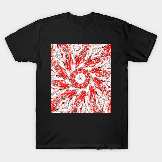 Red fractal flowers, miracle every day T-Shirt by Pink Dessert